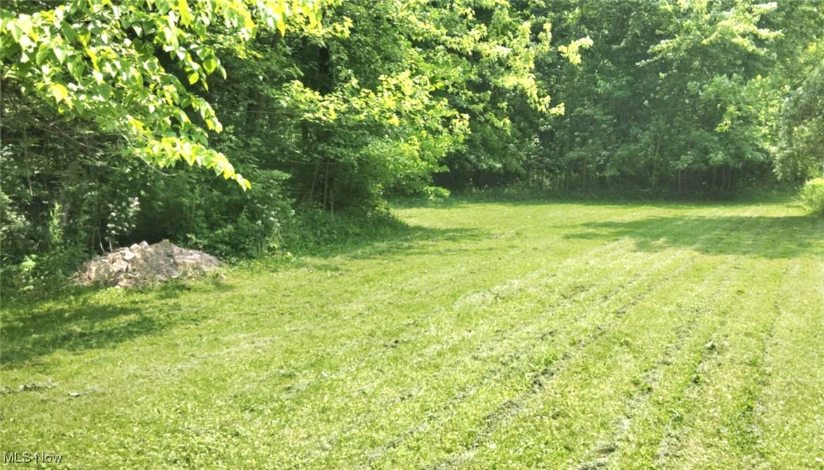556 Champion Avenue, Warren, Ohio image 3