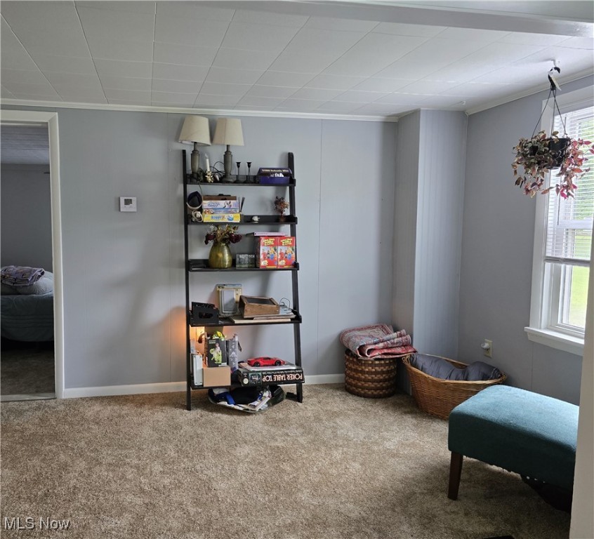556 Champion Avenue, Warren, Ohio image 12