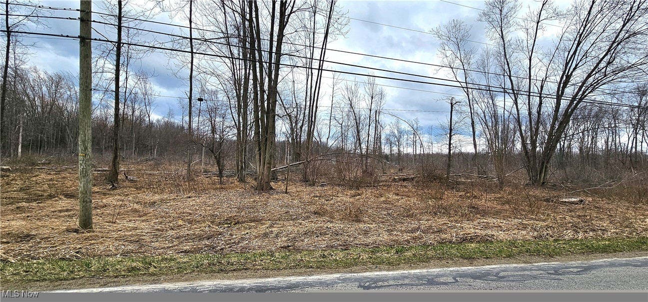 4.95 acres of land in a great location close to Geneva on the Lake. It is currently zoned Commercial C-1 which is the most flexible zoning. You can find the long list of allowed businesses, including storage units and duplexes, on Saybrook Township's website. This can be used to build a home without changing the zoning. New homes are currently being built near this parcel. This is not connected to the public sewer system, you will need a septic system added for most uses. Saybrook Township can help with any questions.