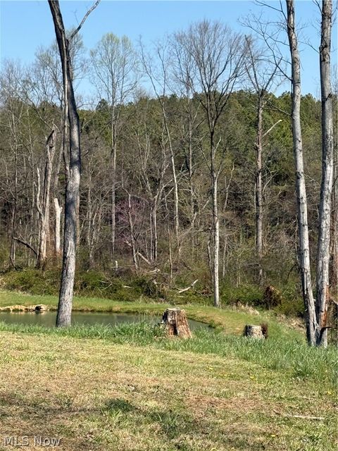 Tiny photo for 8902 N State Route 78, Caldwell, OH 43724 (MLS # 5200278)