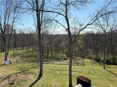 Tiny photo for 8902 N State Route 78, Caldwell, OH 43724 (MLS # 5200278)