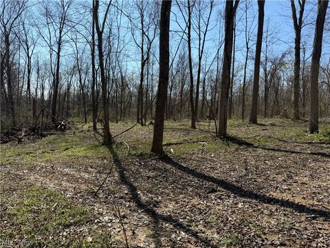 Tiny photo for 8902 N State Route 78, Caldwell, OH 43724 (MLS # 5200278)