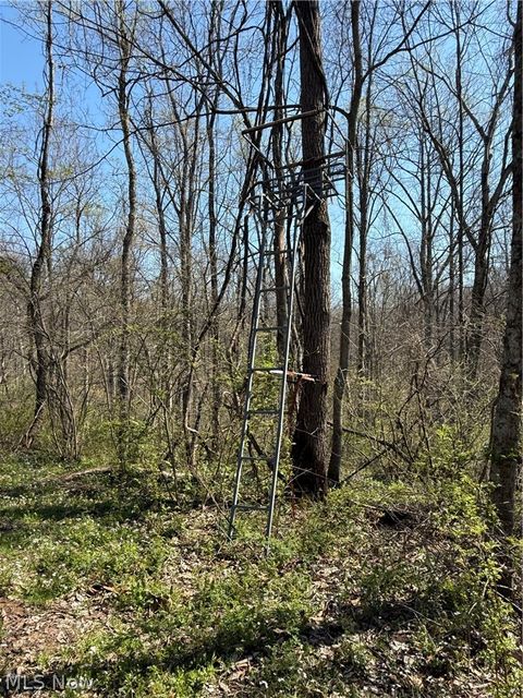 Tiny photo for 8902 N State Route 78, Caldwell, OH 43724 (MLS # 5200278)