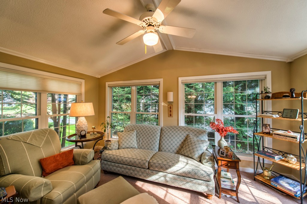 Avondale Allotment 01 - Residential