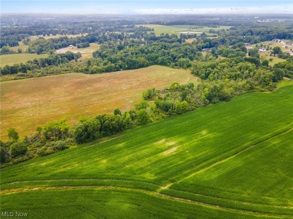 Tippecanoe Road, Canfield, Ohio image 4