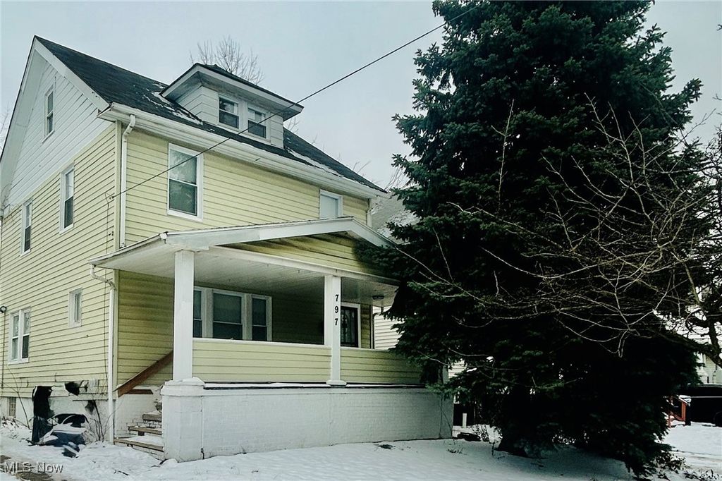 Photo of 797 Alhambra Road, Cleveland, OH 44110 (MLS # 5179897)