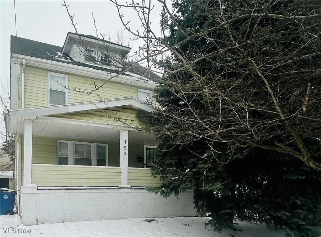 Photo of 797 Alhambra Road, Cleveland, OH 44110 (MLS # 5179897)