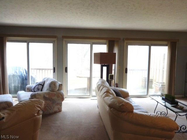 Tinkers Lane Condo - Residential