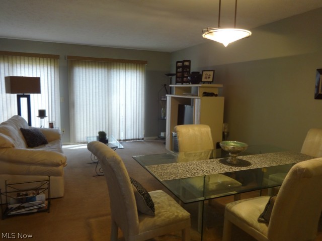 Tinkers Lane Condo - Residential