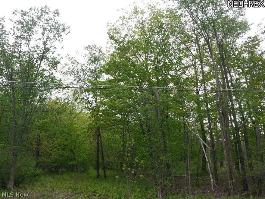 Priced way  lower than Market Value.  Property was tested for septic & approved. Wooded lot with Harwood Maple & Tall Poplar trees. Build your dream home where nature surrounds you....watch the stars from your deck! Where else can you find 3.17 Acres at this price?