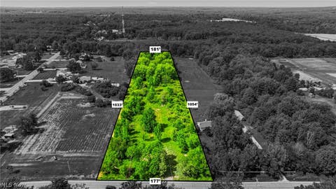Vacant Land For Sale - 14161 Painesville Warren Road<br/> Painesville, OH 44077