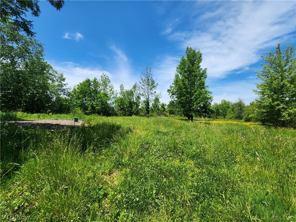 14161 Painesville Warren Road