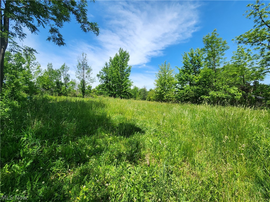 14161 Painesville Warren Road