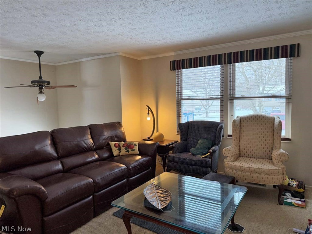 Farmbrook SD - Residential