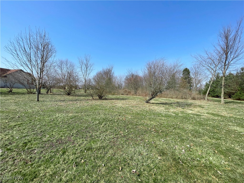 49236 Foxwood Lane, East Palestine, Ohio image 2