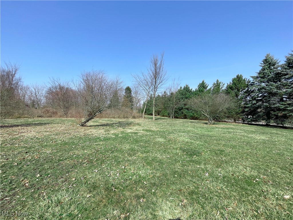 49236 Foxwood Lane, East Palestine, Ohio image 1
