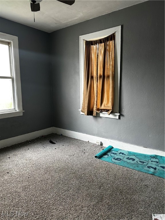 11413 Notre Dame Avenue, Cleveland, Ohio image 7