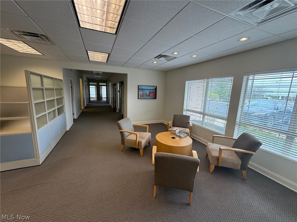 31320 Solon Road 19