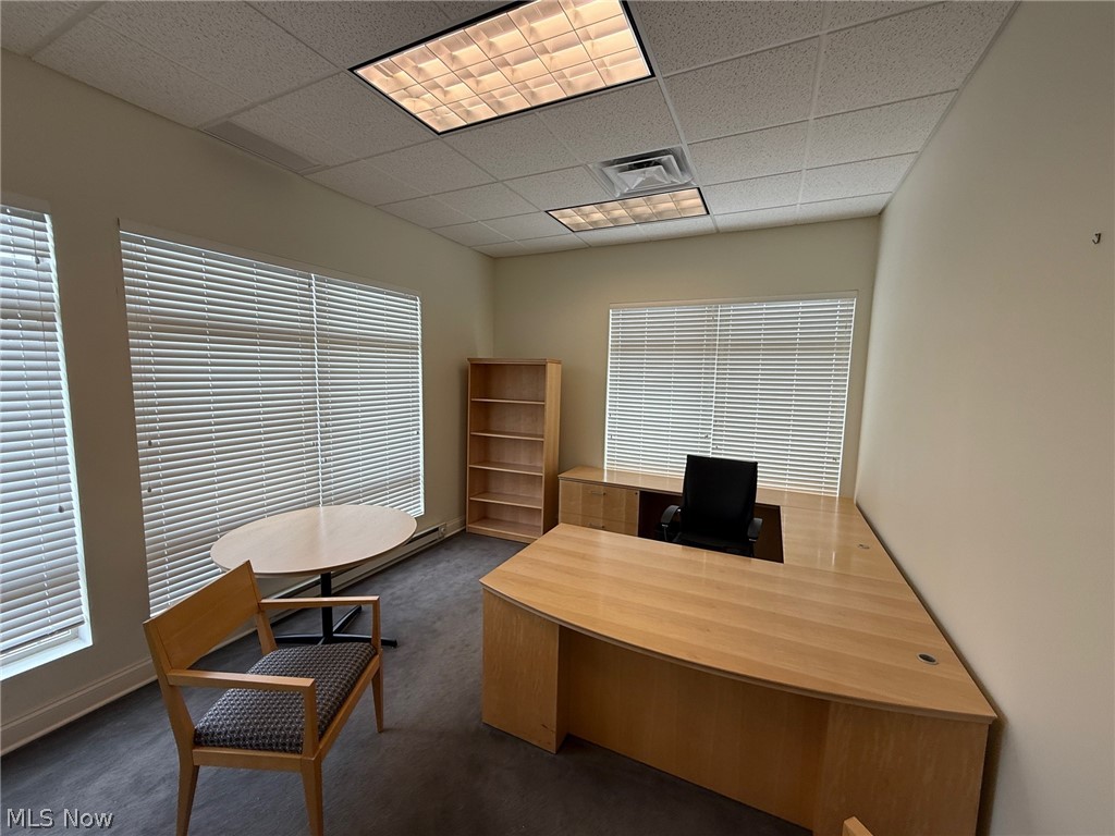 31320 Solon Road 19
