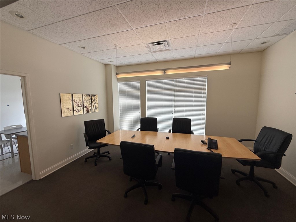 31320 Solon Road 19