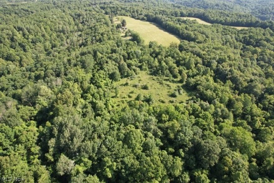 Don't miss your chance to own over 40 beautiful acres in Belmont county! This is an outdoor-mans dream with an abundance of wildlife, hunting land, or land for the use of recreational vehicles! Current owners do not own the mineral rights. Access the property from the end of Maumee road.