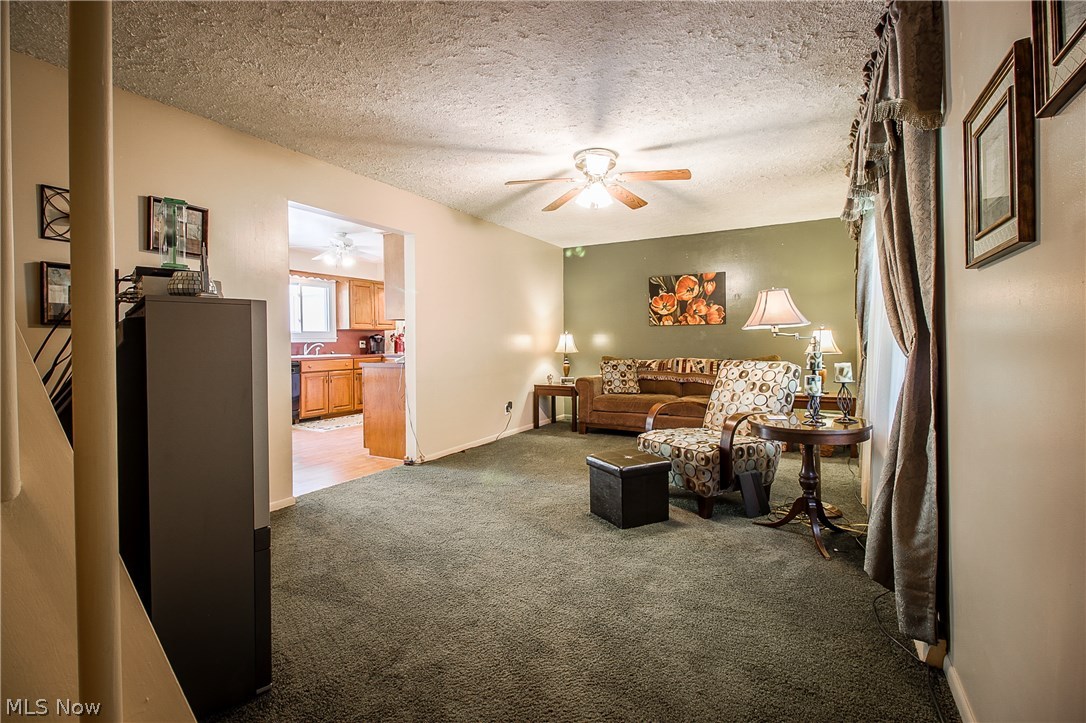 Summerdale Allotment 01 - Residential