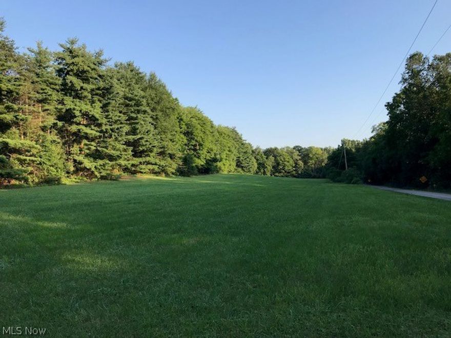 Build your dream home on this over 6 acre property located close to Triway High School and just a short drive to Wooster. Well and Septic acceptable up to 4 bedrooms (per county)  60x30 Pole Garage with 1/2 of building concrete and 31x16  2 story pole barn both need repairs.  32x16 Pole Carport.   845.58 Frontage and 374.58 Deep.  Electric is available but not hooked up at this time.