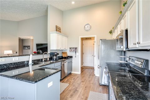 Tiny photo for 5938 Bridle Court, Medina, OH 44256 (MLS # 5185798)