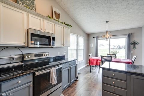 Tiny photo for 5938 Bridle Court, Medina, OH 44256 (MLS # 5185798)