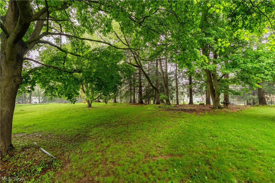 Meadow Brook Park Allotment - Residential