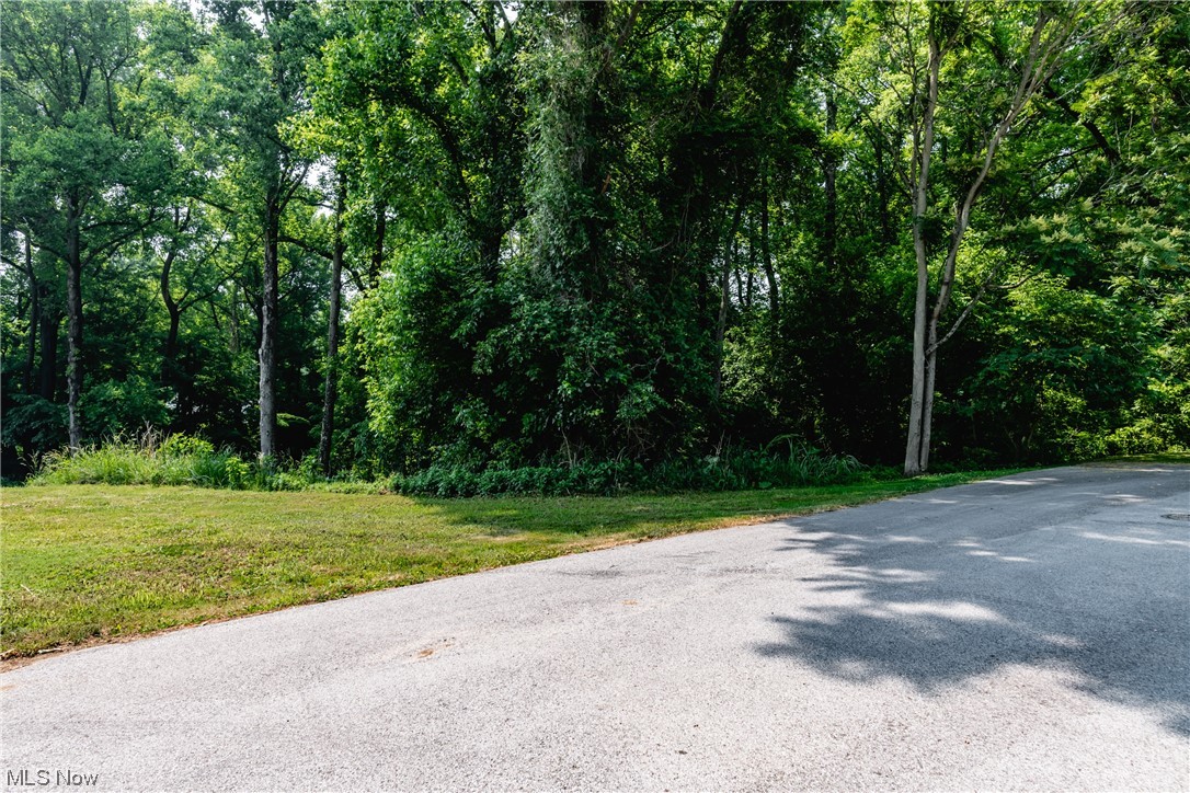 Sunny Side Adn - Land