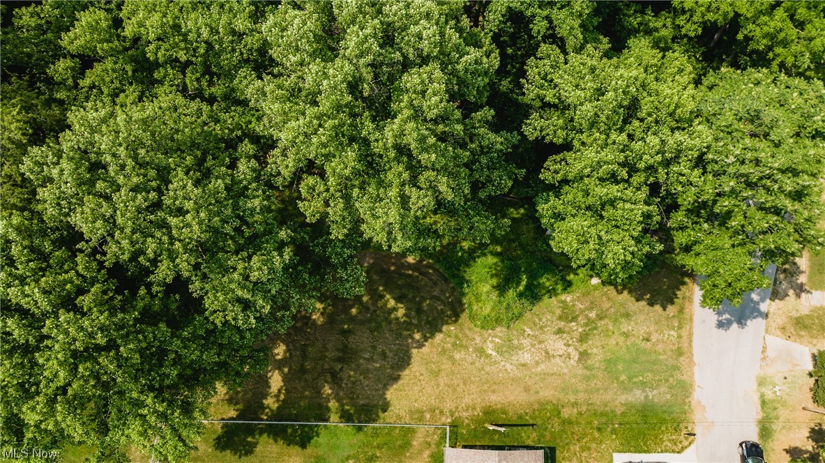 Sunny Side Adn - Land