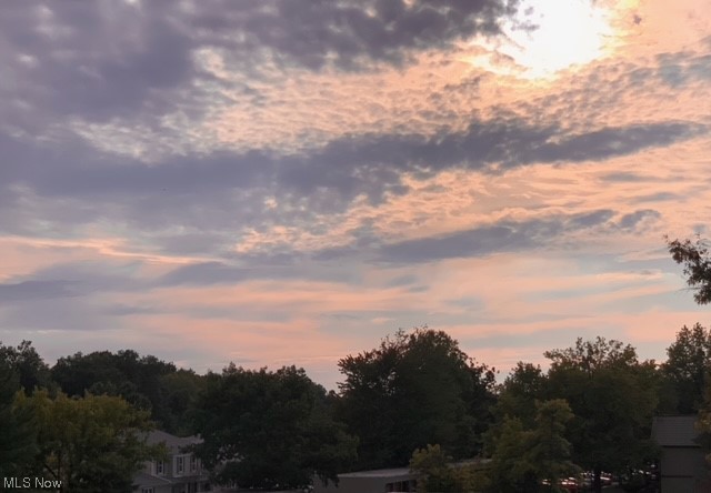 Sunrise Cove Condo - Residential