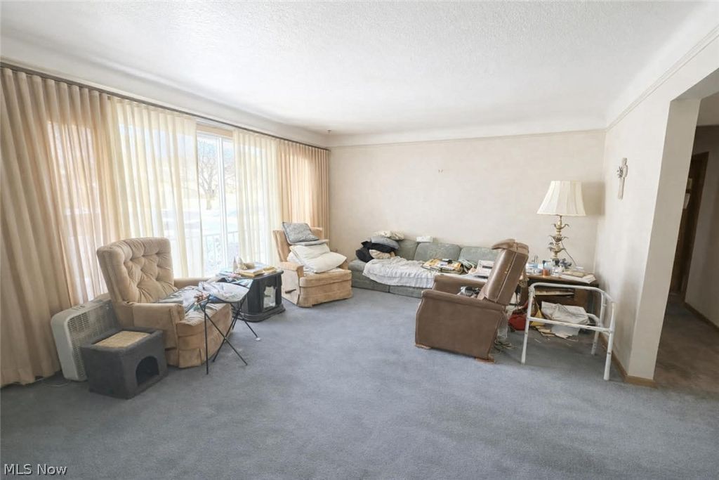 Photo of 1597 E 230th Street, Euclid, OH 44117 (MLS # 5194312)