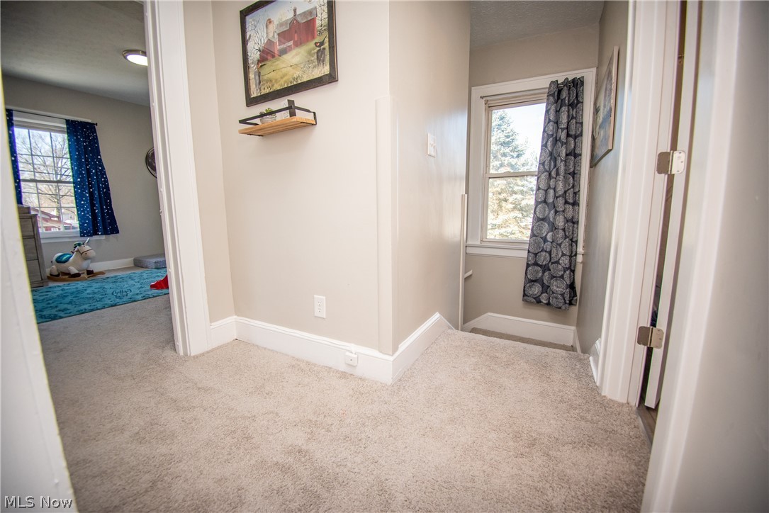 Shanafelts Sprringfield Lake - Residential