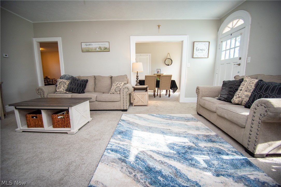 Shanafelts Sprringfield Lake - Residential