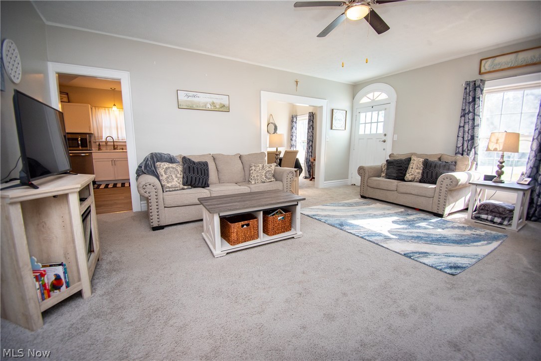 Shanafelts Sprringfield Lake - Residential