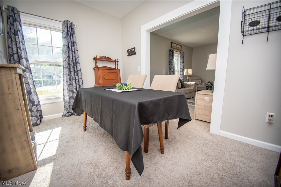 Shanafelts Sprringfield Lake - Residential