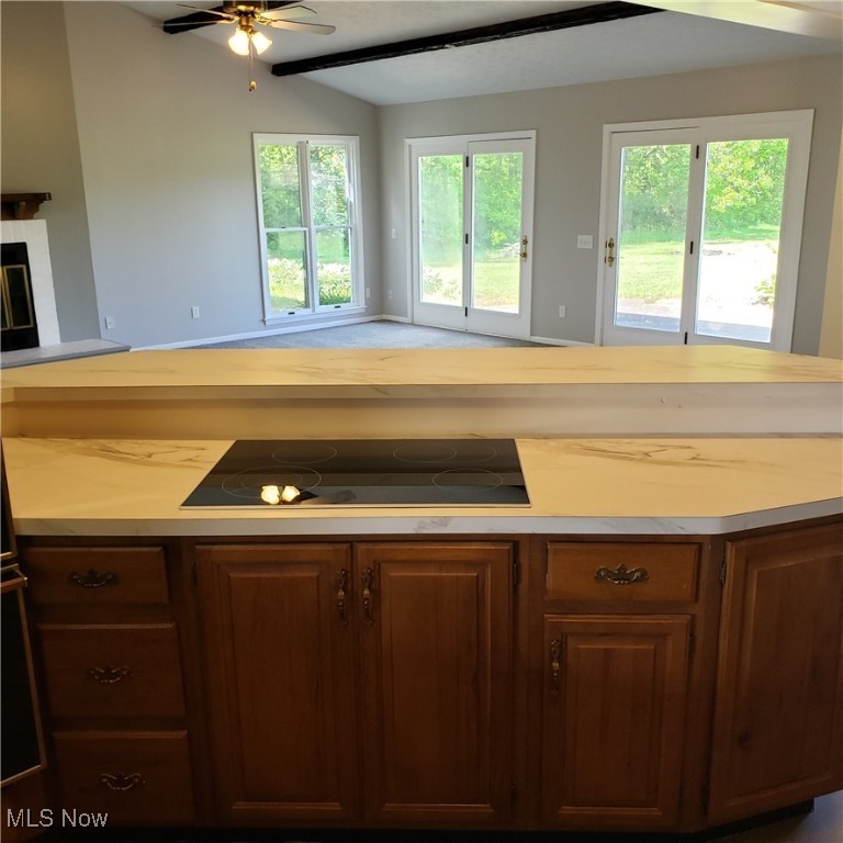 16200 St Rt 83, Grafton, Ohio image 20