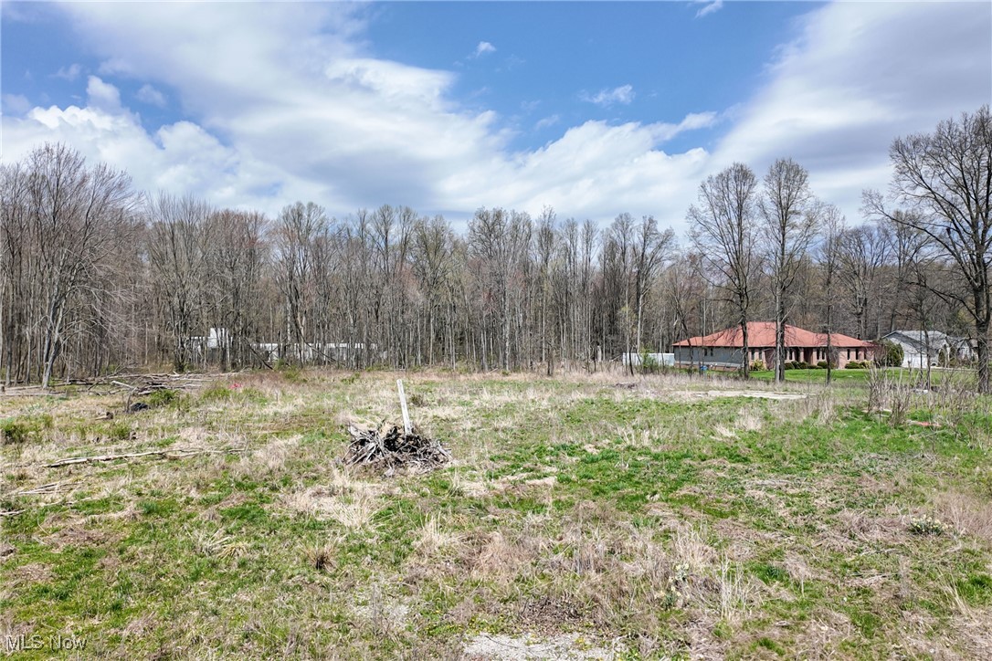 9925 King Graves Road, Warren, Ohio image 7