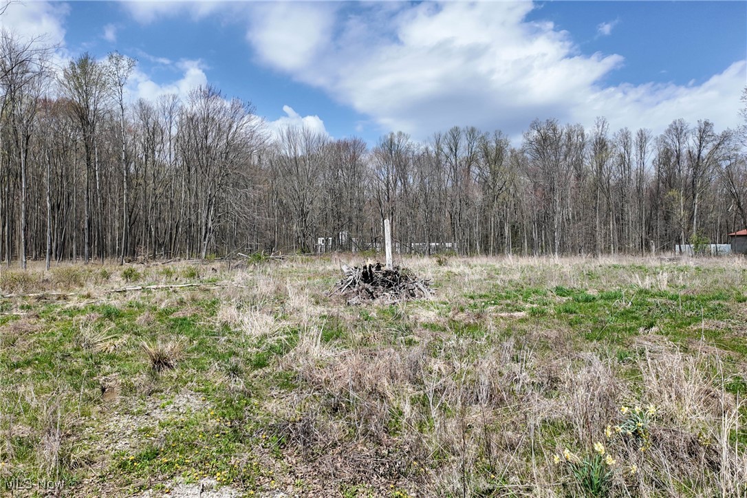 9925 King Graves Road, Warren, Ohio image 3
