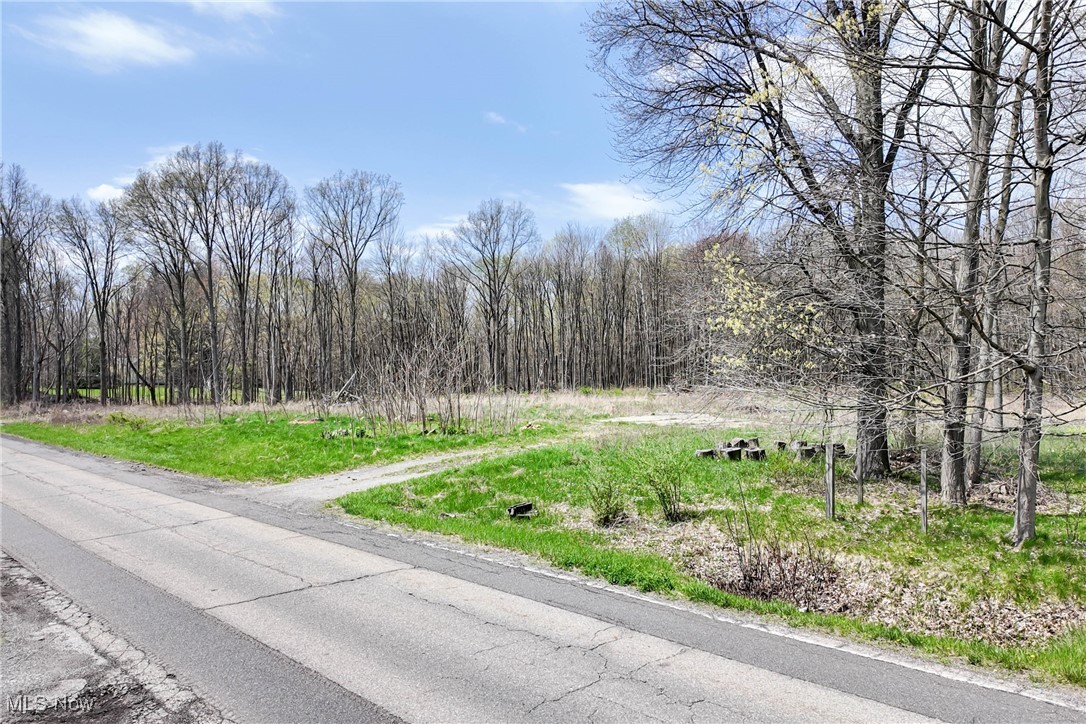 9925 King Graves Road, Warren, Ohio image 2