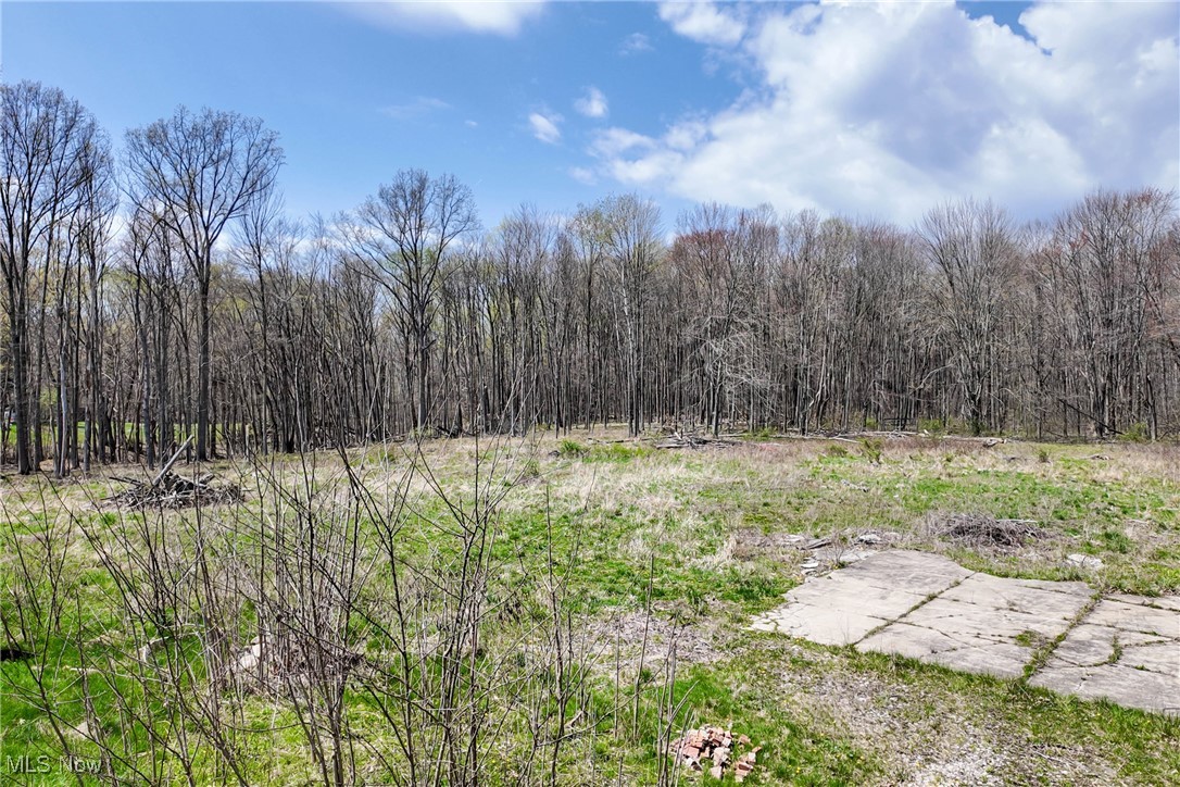 9925 King Graves Road, Warren, Ohio image 6