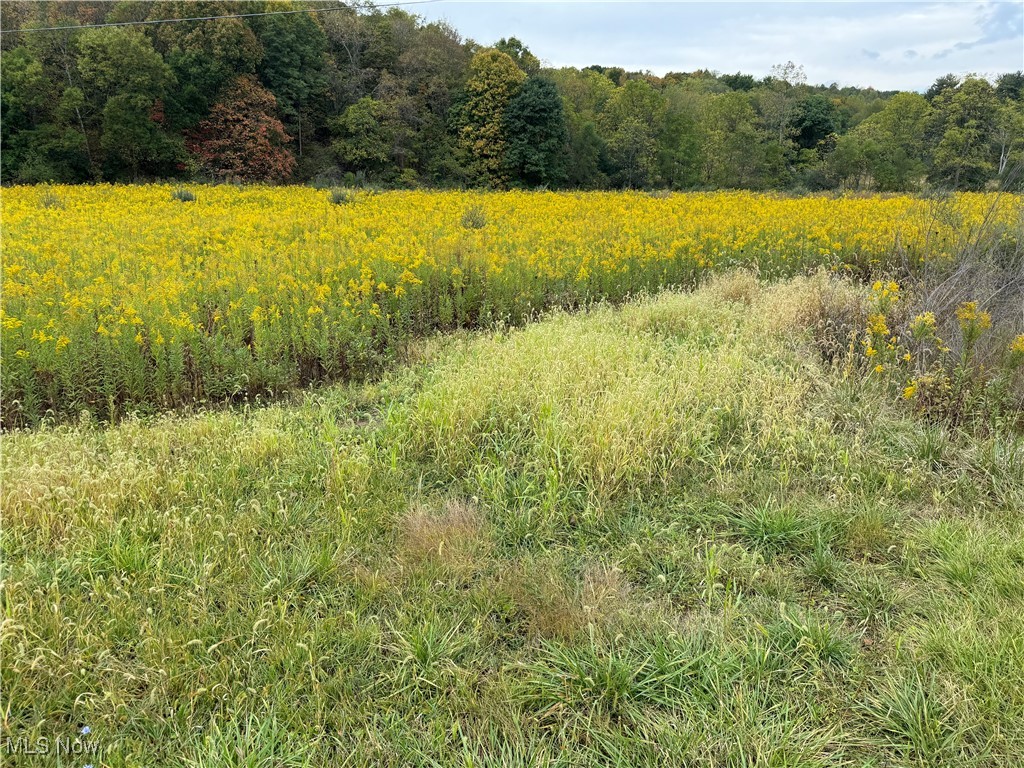 21949 Township Road 135, Coshocton, Ohio image 4