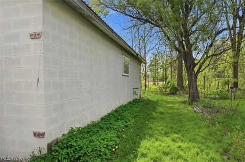 Tiny photo for 141 Austin Avenue NW, Warren, OH 44485 (MLS # 5210528)