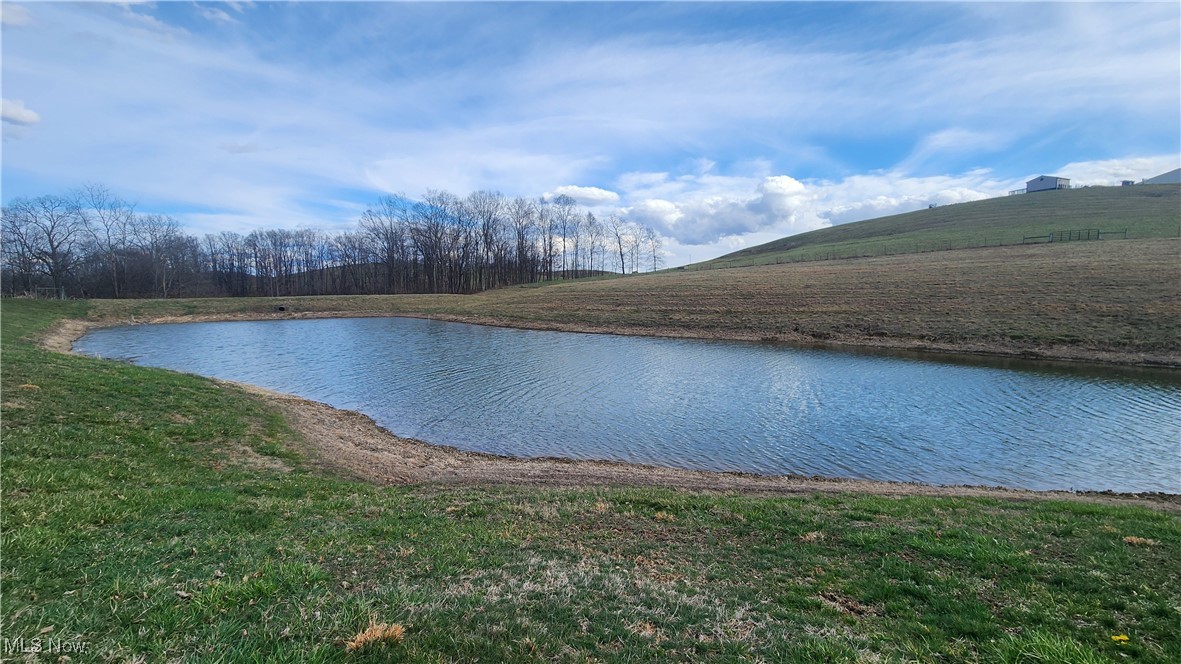 53525 Somerton Highway, Jerusalem, Ohio image 11