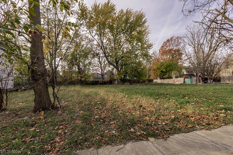 Photo of 1246 E 102nd Street, Cleveland, OH 44108 (MLS # 5239787)