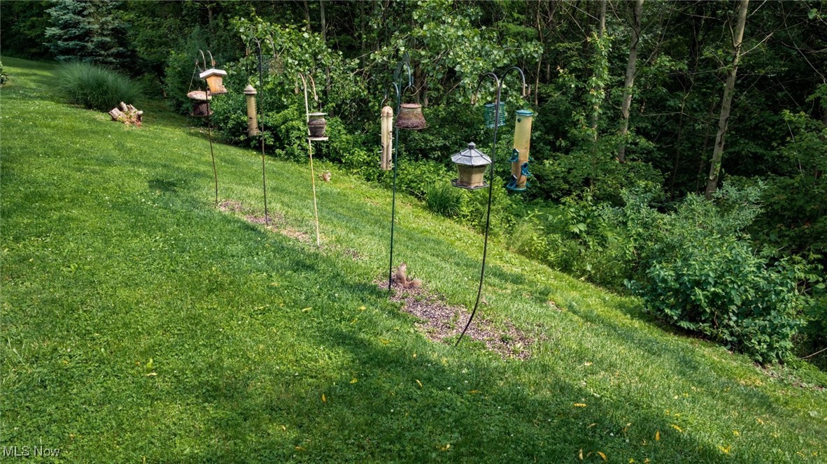 11279 Buzzard Glory Rd, Crooksville, Ohio image 33