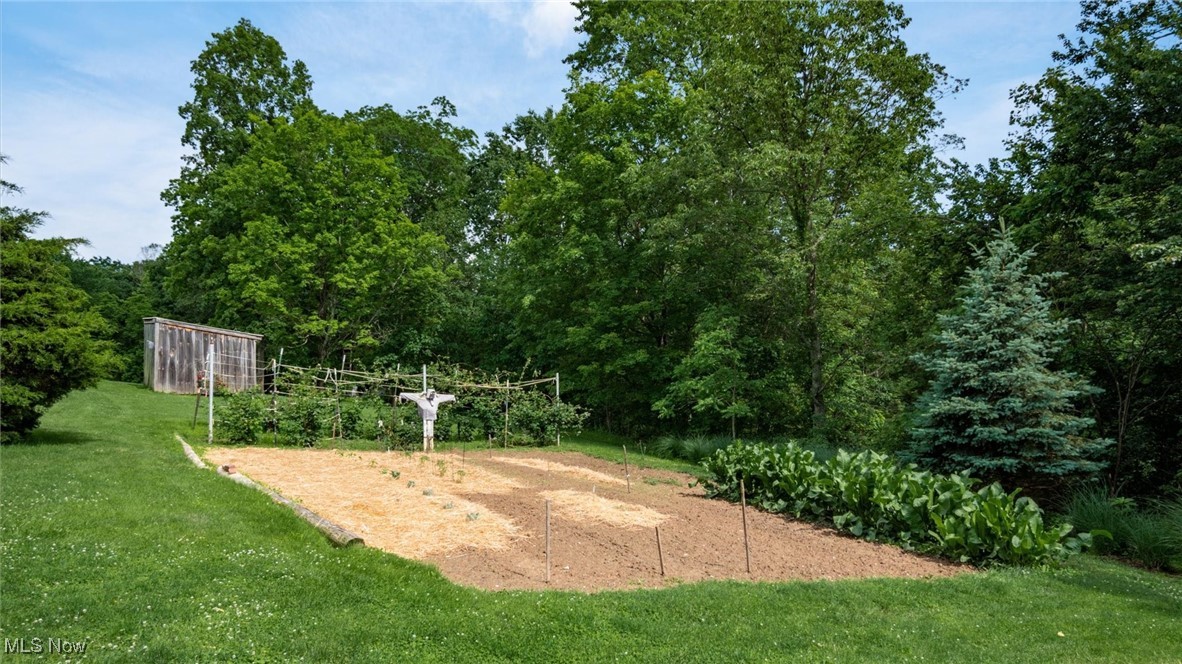 11279 Buzzard Glory Rd, Crooksville, Ohio image 41