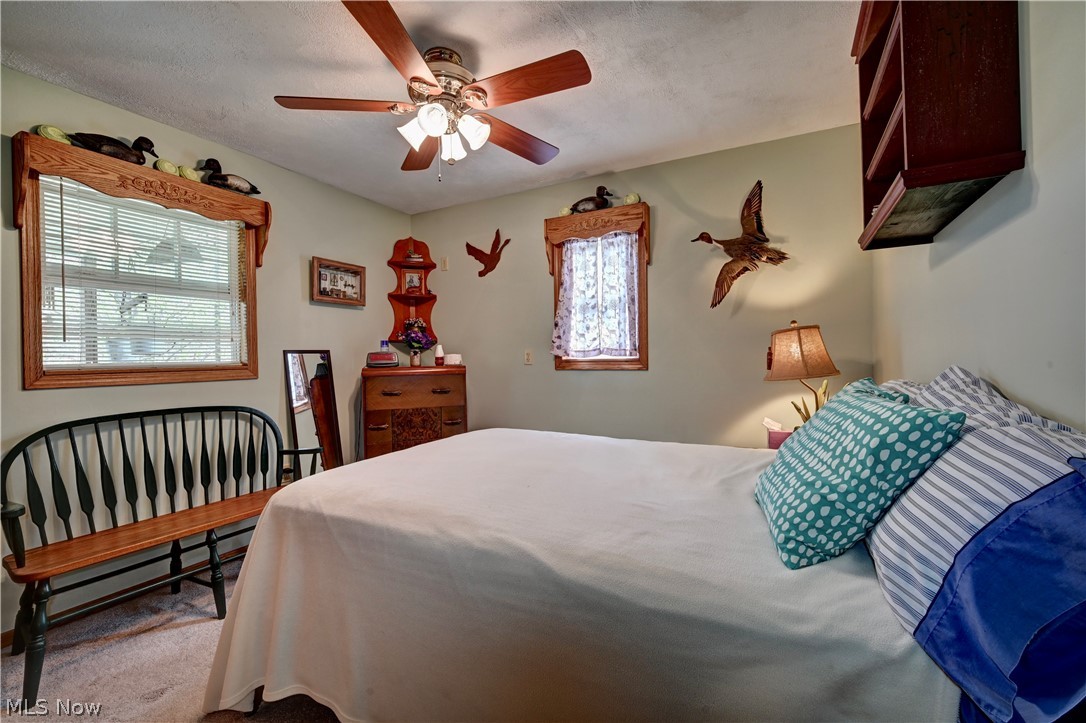 Piney View - Residential